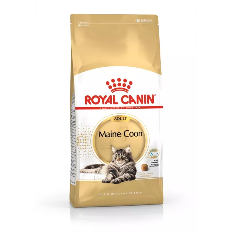 Royal Canin FBN Maine Coon Adult comida seca para gatos, 4 kg