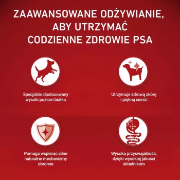 PURINA ONE MINI Dog Adult Beef & Rice 1,5 kg