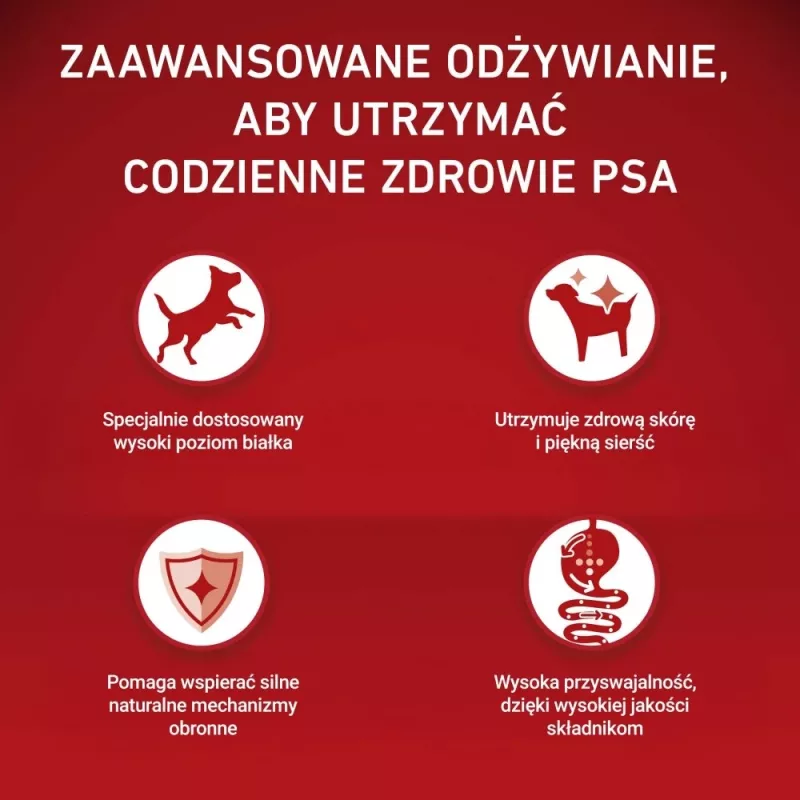 PURINA ONE MINI Dog Adult Beef & Rice 1,5 kg