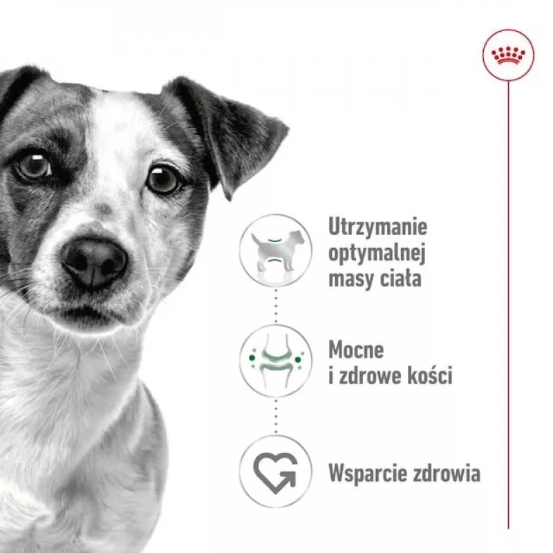 ROYAL CANIN Adult Mini S - Pienso seco para perros - 4 kg