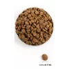 ACANA Adult Large Breed – pienso para perros – 11,4 kg