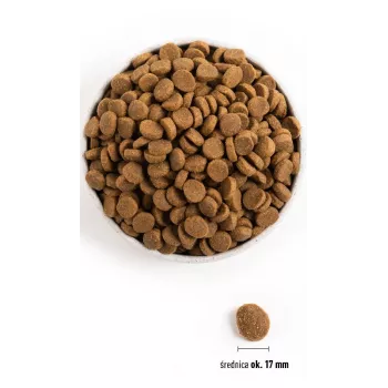 ACANA Adult Large Breed – pienso para perros – 11,4 kg