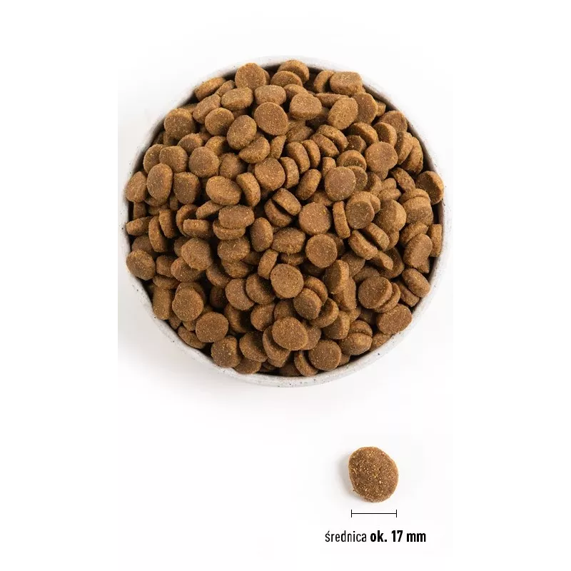 ACANA Adult Large Breed – pienso para perros – 11,4 kg