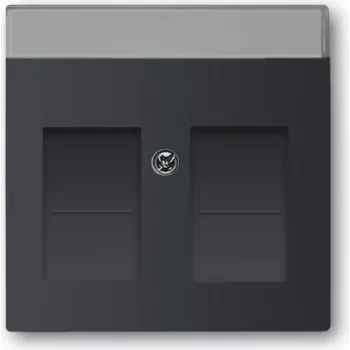 Busch Jaeger Placa central 1800-885 (1710-0-3910)