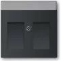 Busch Jaeger Placa central 1800-885 (1710-0-3910)