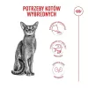 ROYAL CANIN Savour Exigent – Pienso seco para gatos – 4 kg