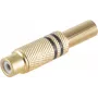 Conector RCA ShiverPeaks BS52021-S Oro Hembra