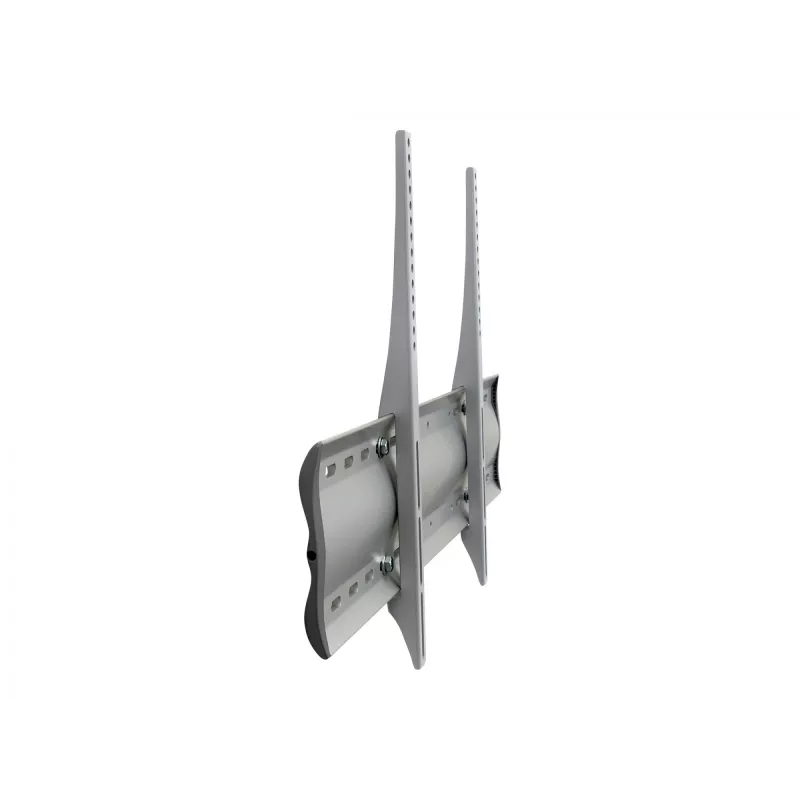 Ergotron 60-604-003 plateado