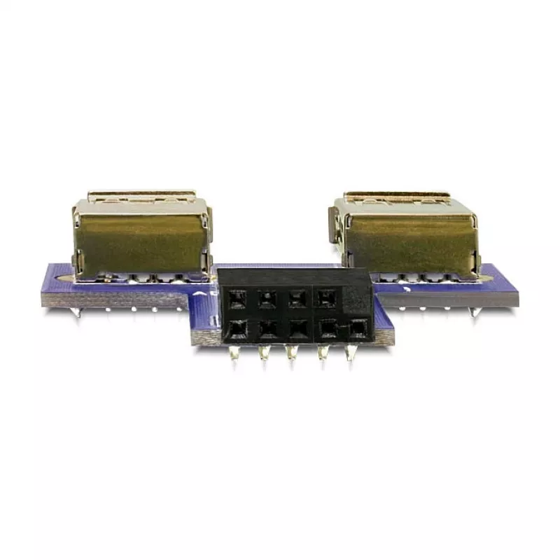 DeLOCK 9 pines 2,54 mm 2 x USB 2.0 1 x 9 pines 2,54 mm negro azul plateado