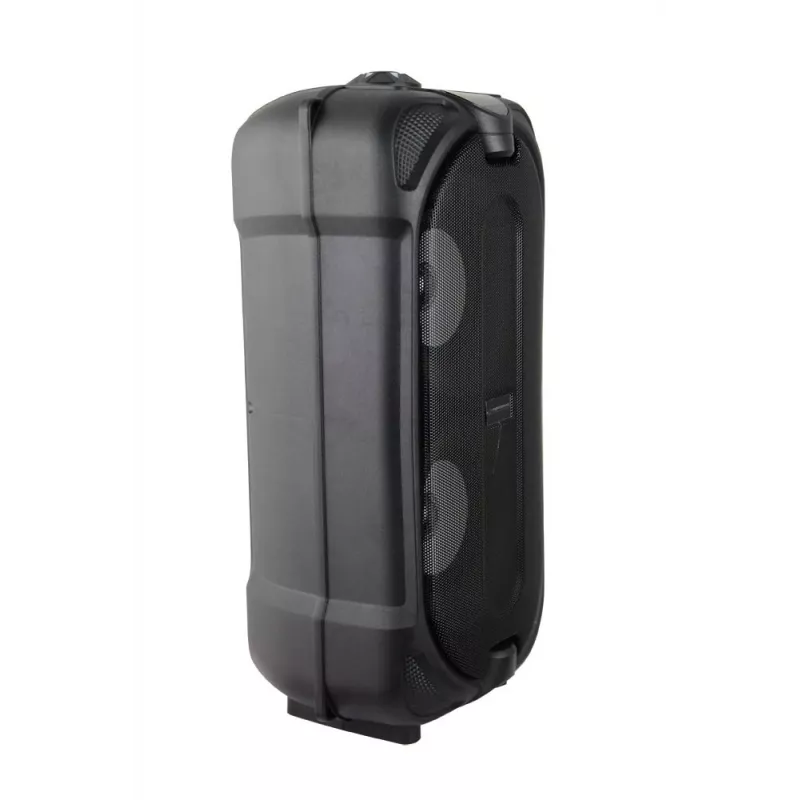 Altavoz Esperanza EP157 BT FM LED RGB negro 10W