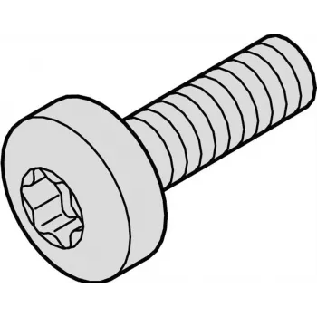 SCHROFF TORNILLO TORX COL.M2.5X12.3 100X - Accesorio para rack (21101783)