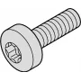 SCHROFF TORNILLO TORX COL.M2.5X12.3 100X - Accesorio para rack (21101783)