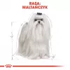 Royal Canin Maltese Adult pienso para perros, 1,5 kg