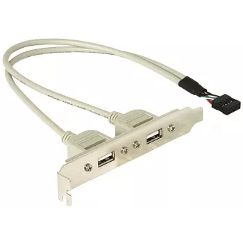 Soporte de ranura 1x USB interno de 5 pines a 2x USB 2.0 externo DeLOCK 71000