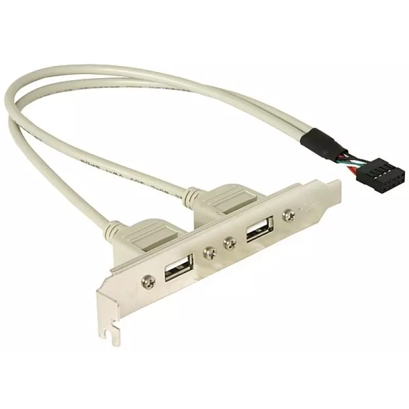 Soporte de ranura 1x USB interno de 5 pines a 2x USB 2.0 externo DeLOCK 71000