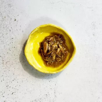 Ollo Atún con algas en caldo Nº 8 70 g
