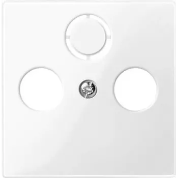 Placa de pared / tapa de interruptor Merten 296719, termoplástico blanco, marco simple, 1 ud.