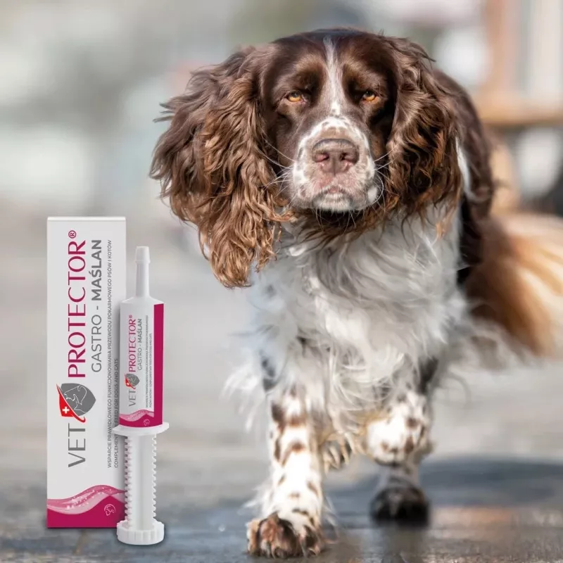 Complemento líquido de apoyo intestinal JM Sante VET PROTECTOR Gastro Butyrate 60 ml para perros y gatos, complemento alimenticio, sin soja, sin gluten