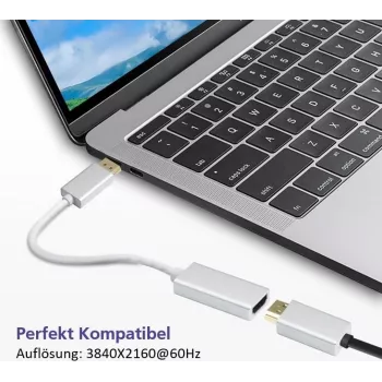 Cable adaptador DisplayPort a HDMI Helos 4K Plateado — DisplayPort (conector macho) a HDMI (conector hembra)