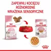Royal Canin Feline Health Nutrition Kitten Instinctive en salsa comida húmeda para gatitos, 12 x 85 g