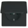 Busch-jaeger 2CKA002064A0290 Negro