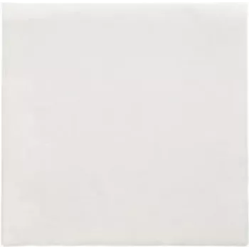 PAPSTAR servilletas Daily Collection blancas 2 capas 16,0 x 16,0 cm 150 uds. (89636)