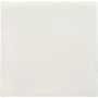 PAPSTAR servilletas Daily Collection blancas 2 capas 16,0 x 16,0 cm 150 uds. (89636)