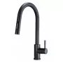 Grifería de cocina DEANTE Lima BBM_N72M - ducha extraíble, negro