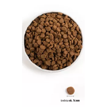 ORIJEN Puppy - pienso seco para perros - 11,4kg