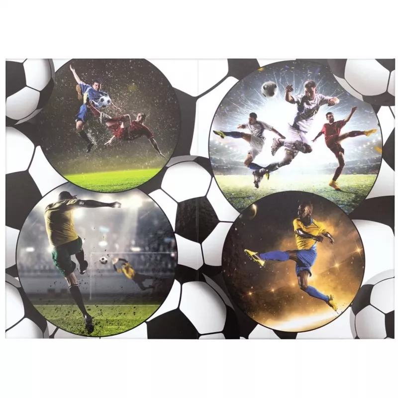 Papelera HERMA Football 19739