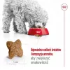 Pienso seco para perros Royal Canin Adult Mini S 8 kg — alimento completo para perros adultos pequeños