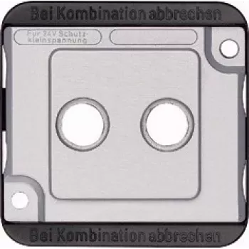 Merten 294660 Marco embellecedor/placa plata (294660)
