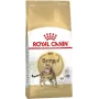 Royal Canin FBN Bengal Adult comida seca para gatos, 10 kg