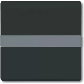 BUSCH JAEGER 2106 N-35 - negro - Busch-Jaeger - 70 mm - 70 mm - 1,3 cm - 1 ud.