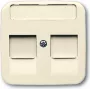 Busch Jaeger 1753-0-8022 Placa mural/Tapa de interruptor marfil (1753-0-8022)