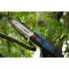 Motosierra de pértiga Bosch GKE 18V-25 TP — 25 cm de longitud de corte, inalámbrica 18 V (06008D6000)