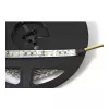 Synergy 21 LED Flex Strip 3528 - 120 DW (CCT) DC12V 48W por color IP20