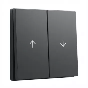 Tapa basculante GIRA System 55 tecla 2f flecha antracita (modelo 329428)
