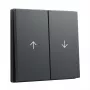 Tapa basculante GIRA System 55 tecla 2f flecha antracita (modelo 329428)