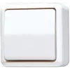 Jung 606 A WW interruptor de luz blanco (606AWW)
