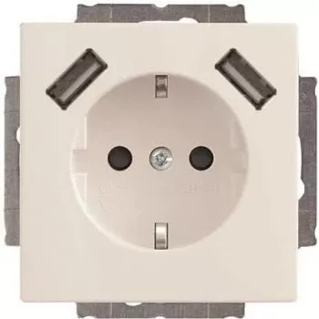 Busch-Jaeger toma SCHUKO-2x USB 20 EUCB2USB-84 (2CKA002011A6273)