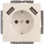 Busch-Jaeger toma SCHUKO-2x USB 20 EUCB2USB-84 (2CKA002011A6273)