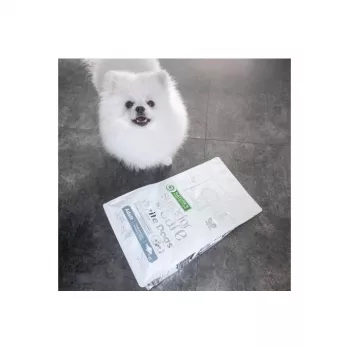 Pienso seco para perros nature’s protection White Dogs GF White Fish Adult Small 4 kg — sin cereales, proteína 24%, grasa 13%