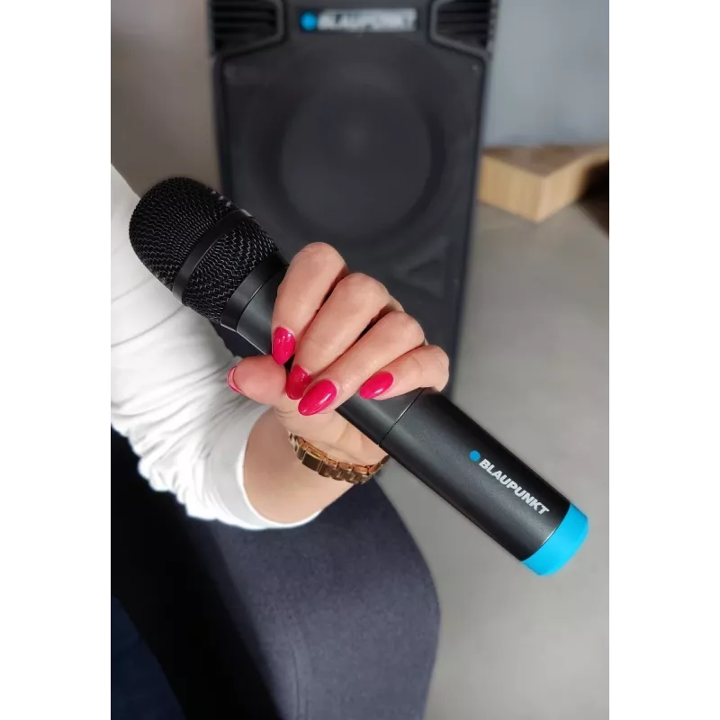 Micrófono Blaupunkt WM40U