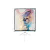 Pantalla de proyección portátil Elite Screens T120NWV1 3,05 m 4:3