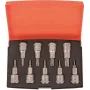 Juego de puntas de destornillador Bahco 9 piezas S9TORX (S9TORX)