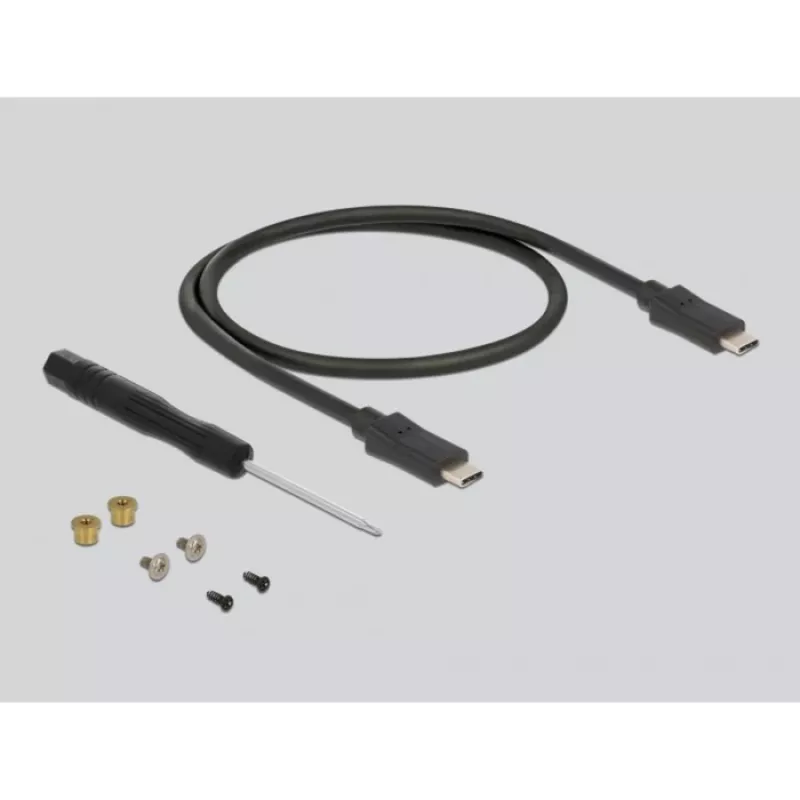 Carcasa SSD DeLOCK 42003 carcasa externa para SSD M.2 SATA con USB Type-C