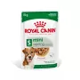 Comida húmeda Royal Canin Mini Ageing 12+ Adult 85 g bolsa — razas pequeñas, aves, senior