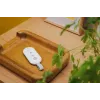 Controlador para Smart Alarm Hub