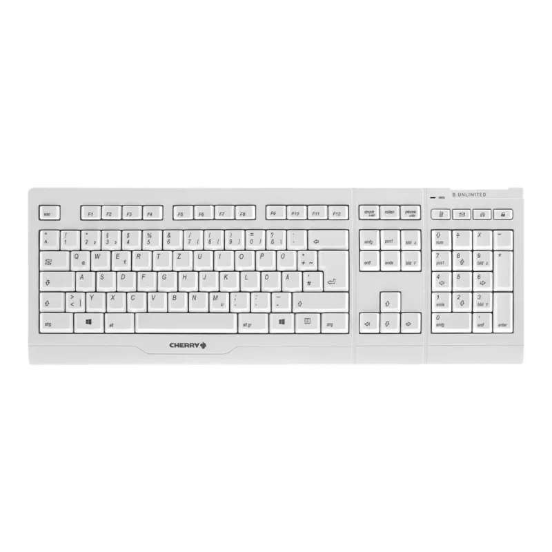 CHERRY B.UNLIMITED 3.0 teclado y ratón incluidos oficina RF Wireless alemán gris